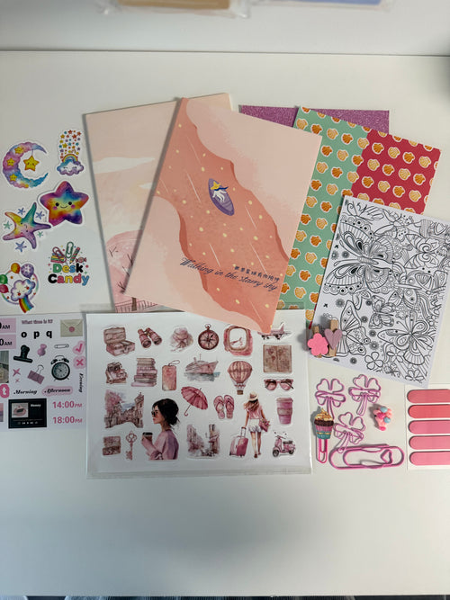 Blush Start Kit Pink Edition - notitieboeken en stickers